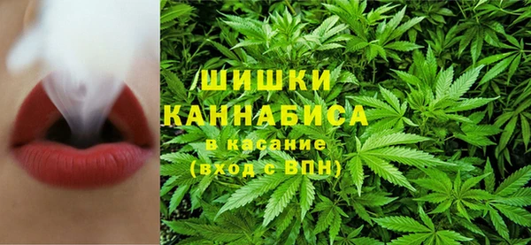 PSILOCYBIN Алексеевка