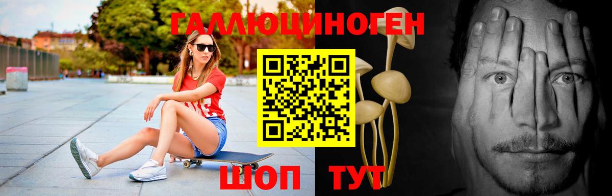 Псилоцибиновые грибы Psilocybine cubensis Углич