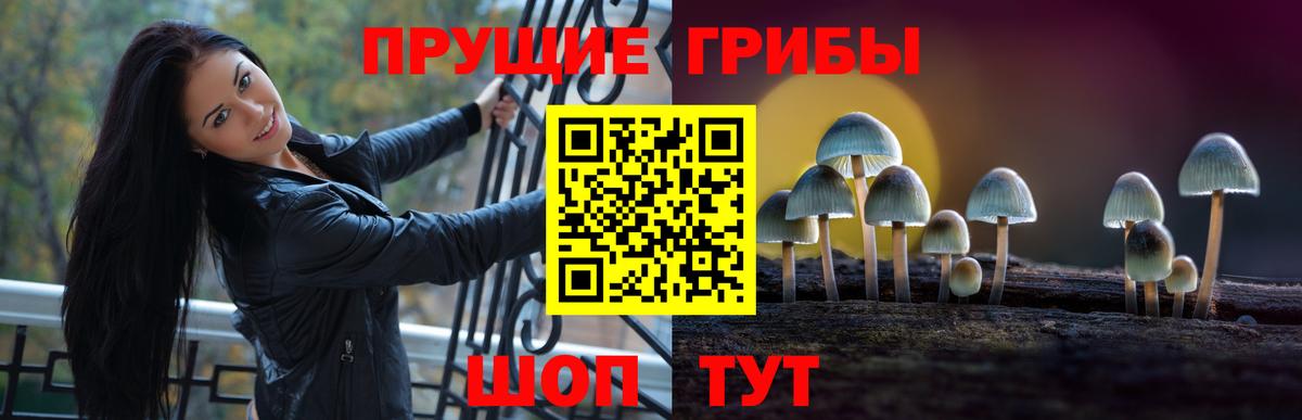 Углич  Галлюциногенные грибы Psilocybe  Вход с VPN  Псилоцибиновые грибы мухоморы 